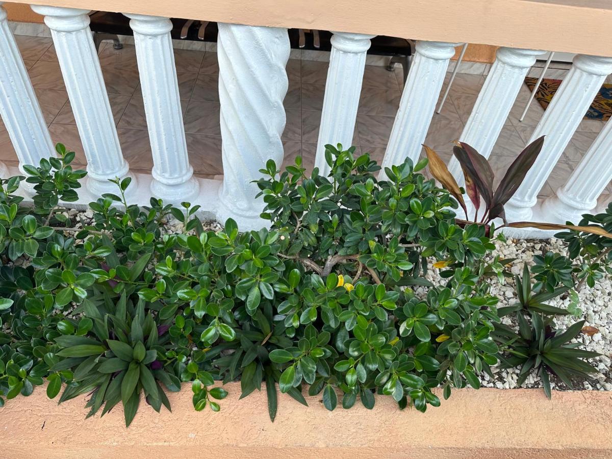 Remarkable 1-Bed Apartment In Montego Bay Exteriör bild