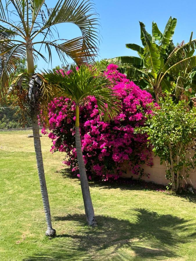 Remarkable 1-Bed Apartment In Montego Bay Exteriör bild